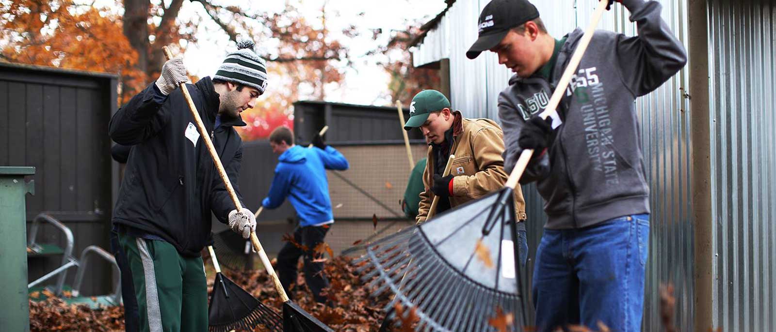 RBC students volunteering to clean up leaves.