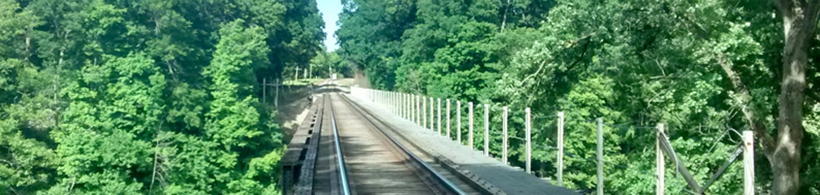Railway tracks in a heavily forested area.