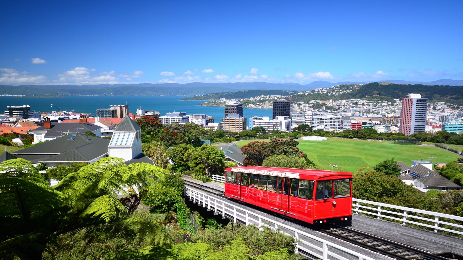 View of New Zealand's capital city, red Wellington cable car in the forefront
