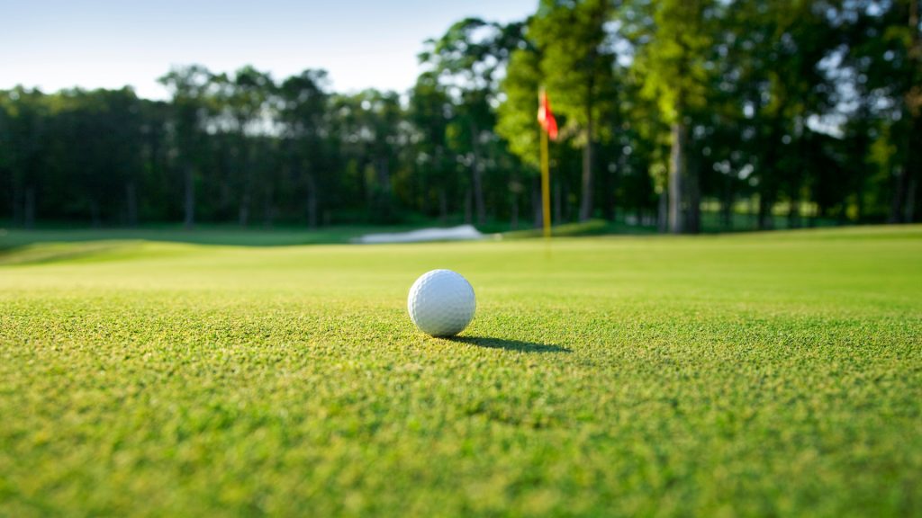 A golf ball on the green near a pin.