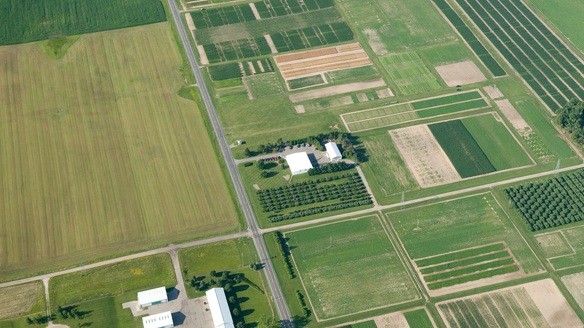 An aerial view looking south, of the Plant Pathology Research farm (center left) at Michigan State University. Photo courtesy of University Communications.