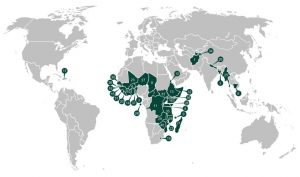 A map of the 39 Country Initiative's locations around the world