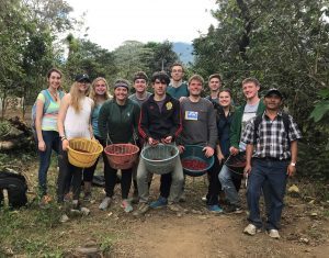 Students explored coffee fields and picked coffee cherries.