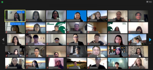Zoom screenshot of Global Virtual Career Trek attendees.