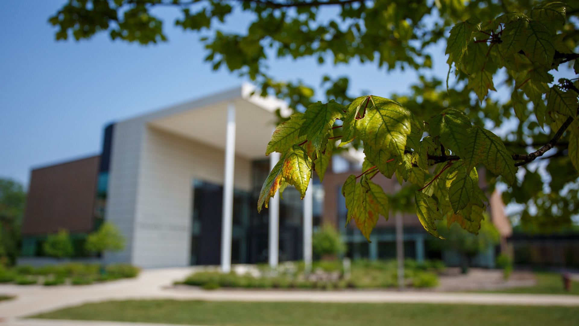 Department of Marketing – Eli Broad College of Business | Michigan ...